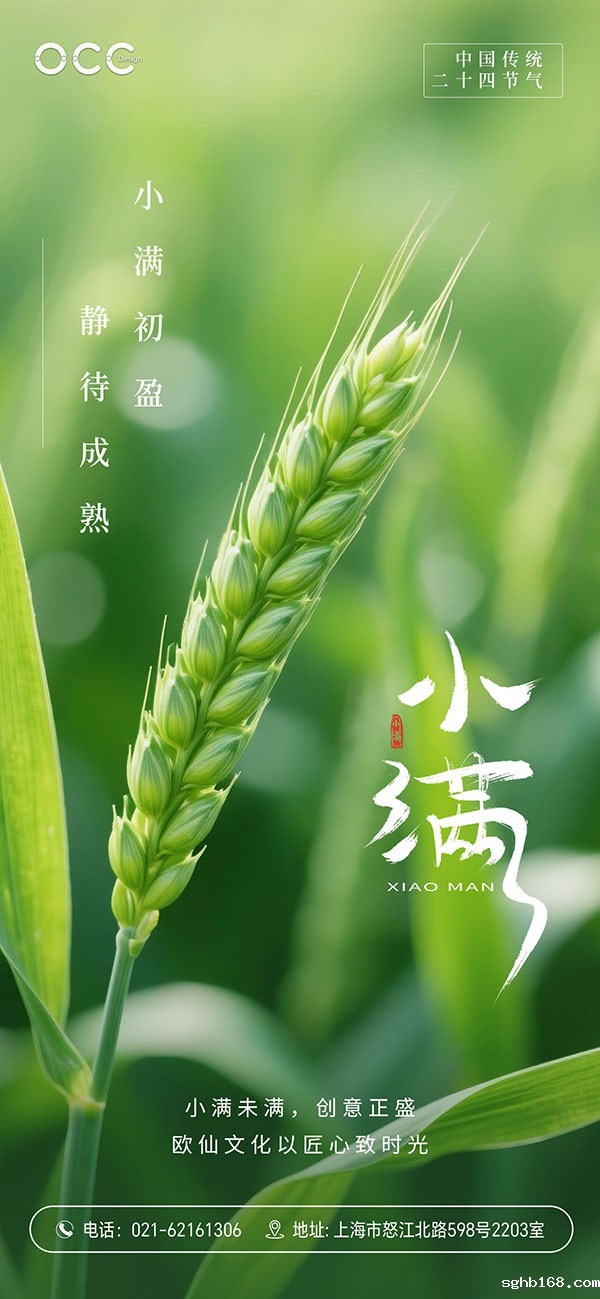 上海品牌策划公司
